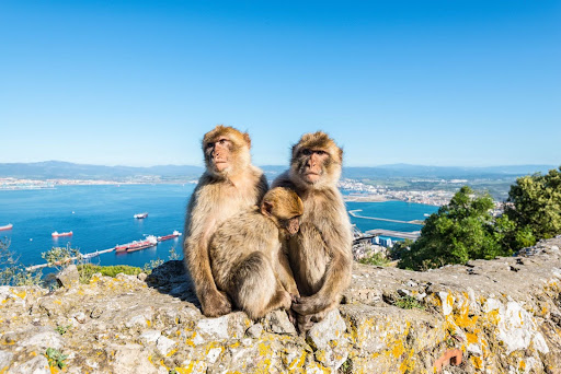 How to Move to Gibraltar from the UK: A Practical Guide