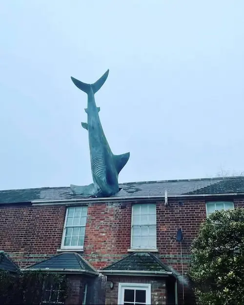 Headington Shark - Oxford