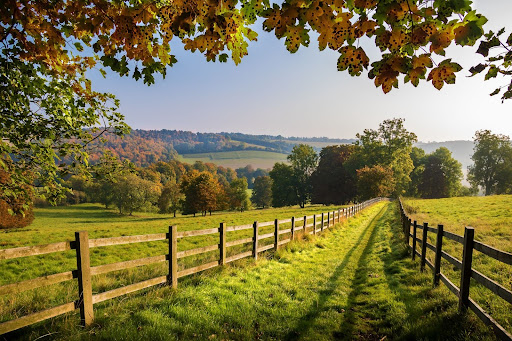 People Moving to the Countryside
